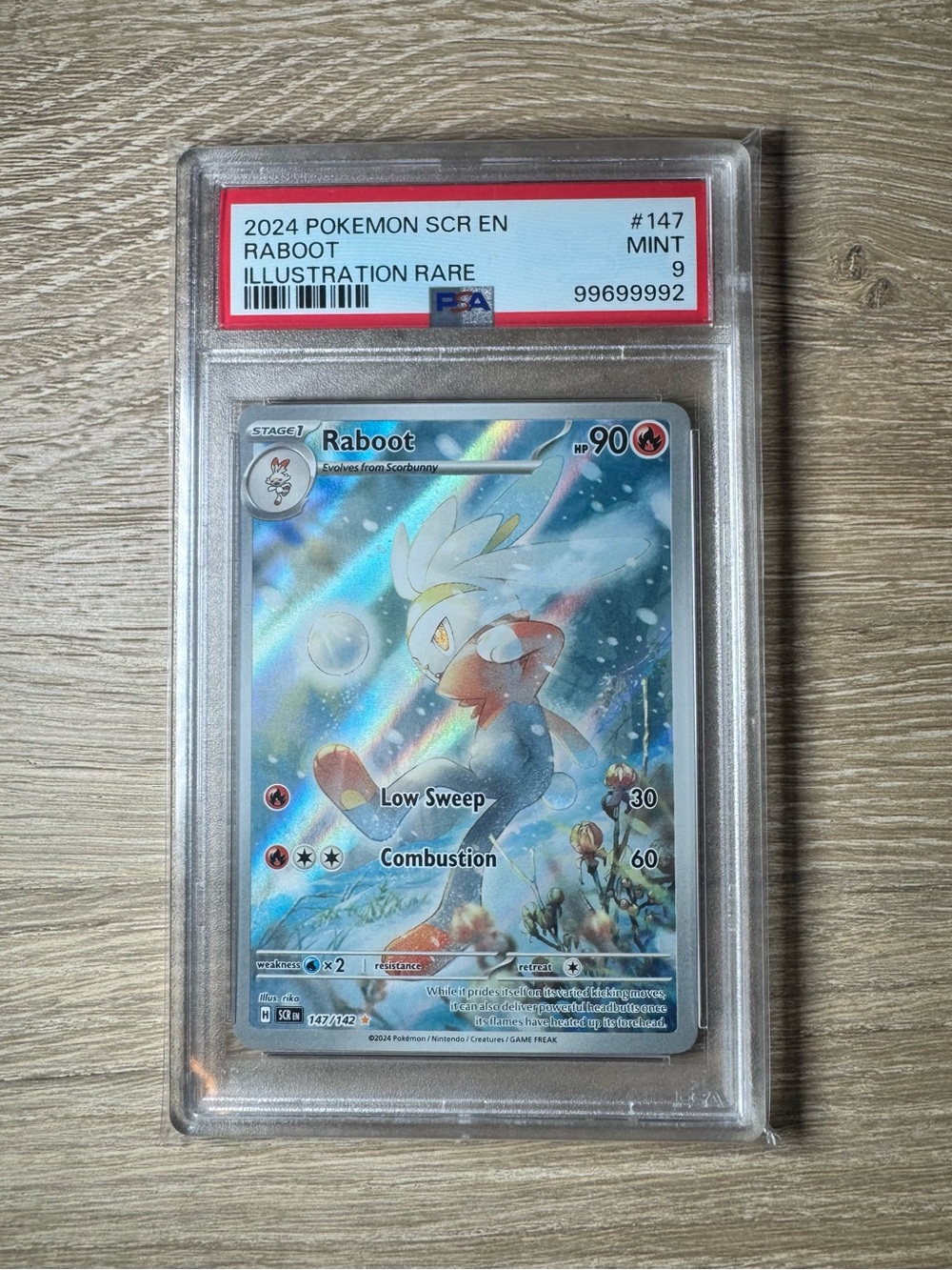 Raboot #147/Pokemon Stellar Crown